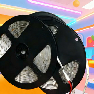 Dây led  3528 12v 5m/ cuộn có bọc silicone chống nước