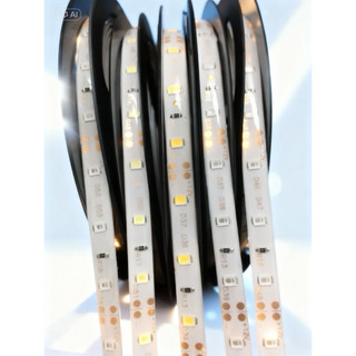 Dây led  3528 12v 5m/ cuộn có bọc silicone chống nước