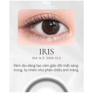 lens IRIS GRAY full cận 0-8 độ