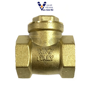 Van nước 1 chiều phi 42 49 60, van 1 chiều lá lật đồng/inox304 ngăn dòng chảy ngược hiệu quả cho bơm
