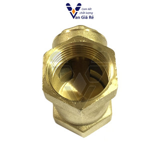 Van nước 1 chiều phi 42 49 60, van 1 chiều lá lật đồng/inox304 ngăn dòng chảy ngược hiệu quả cho bơm
