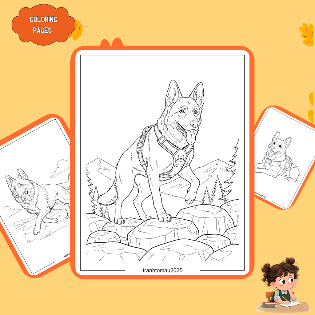 Bộ 50/25/10 tờ tranh tô màu, tranh tập tô cho bé, hình chó Becgie Đức German Shepherd, giấy A4, A5 t