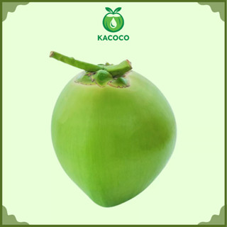 1 Trái Dừa Xiêm Miền Tây Nguyên vỏ KACOCO - Ngọt, Mỏng vỏ, nước nhiều giải khát, giảm nhiệt, tươi mát, uống liền