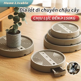 Đĩa Đế Lót Kê Di dời chậu cây Bánh xe êm 360° – lắp đặt tức thì Khay trữ nước tháo rời được Khả năng chịu tải cao