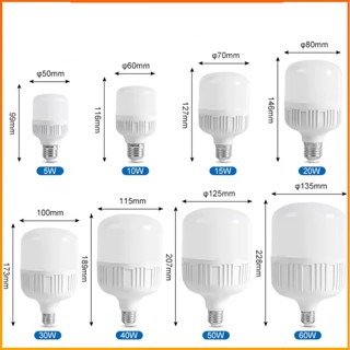 Bóng Đèn LED Bulb Trụ Nhựa, Bóng Điện 80W 60W 50W 40W 30W 20W 10W Siêu Sáng, Tiết Kiệm Điện