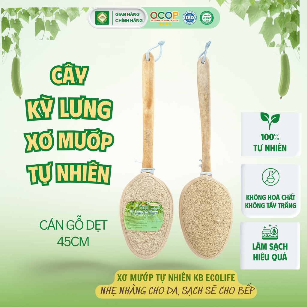 Cây Kỳ Lưng Xơ Mướp Tự Nhiên KB Ecolife (Cán dẹt 45cm) Làm Sạch Sâu Tẩy Da Chết Massage Da