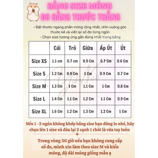 Móng tay giả Nail thiết kế Nailbox