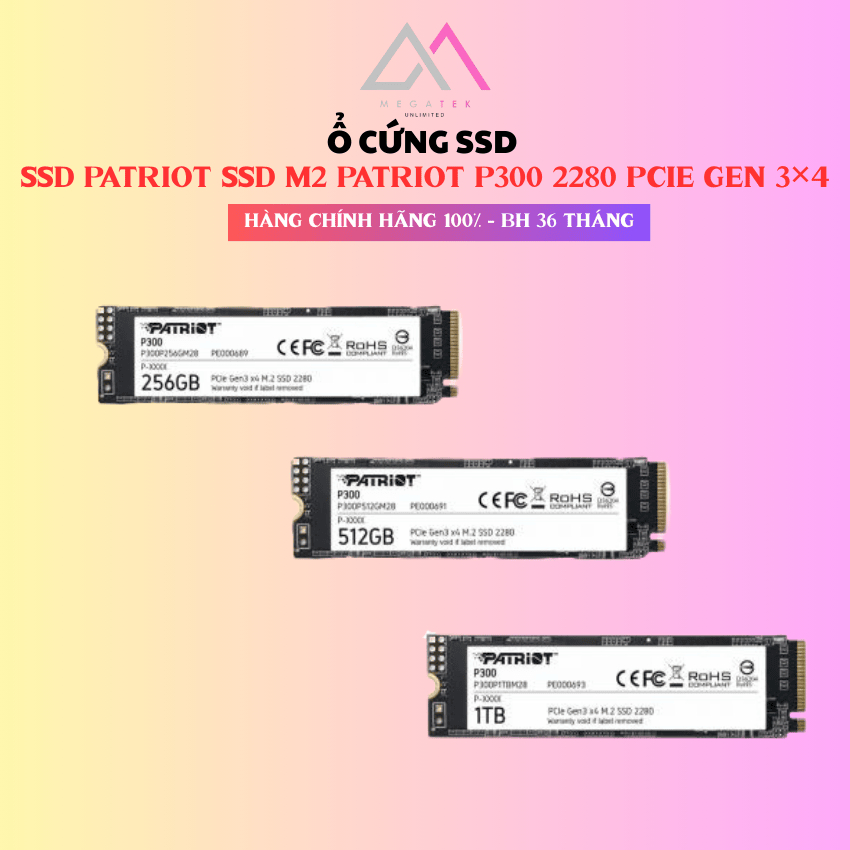Ổ cứng SSD PATRIOT SSD M2 PATRIOT P300 2280 PCIE GEN 3×4 256GB | 512GB | 1TB - Hàng chính hãng - BH 