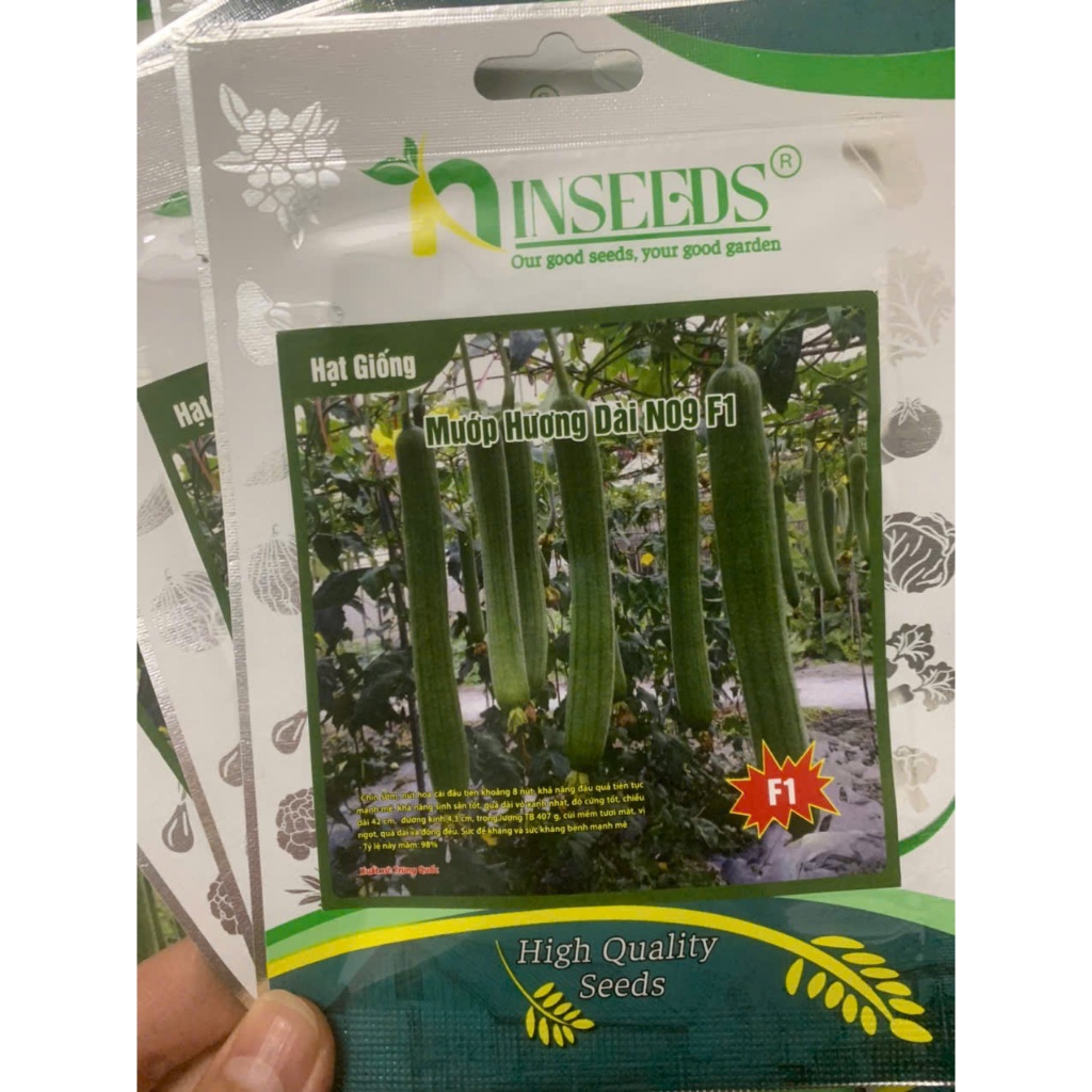 hạt giống mướp hương dài n09 F1