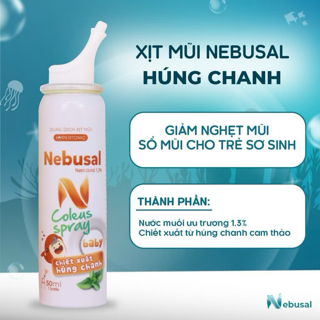 Xịt mũi thảo dược Nebusal Coleus spray cho trẻ sơ sinh