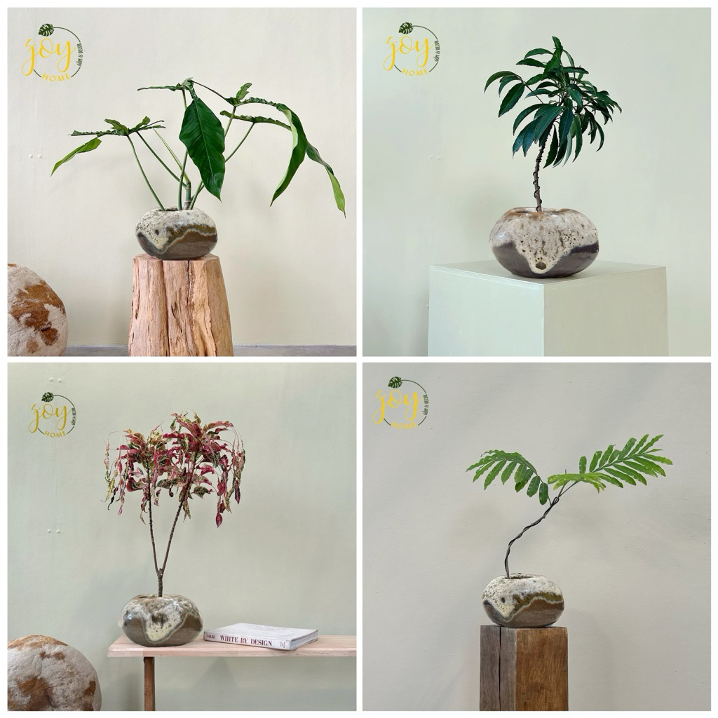 Chậu gốm dáng Đá nghệ thuật, trồng cây và cắm hoa tươi Ikebana, lan hồ điệp,…