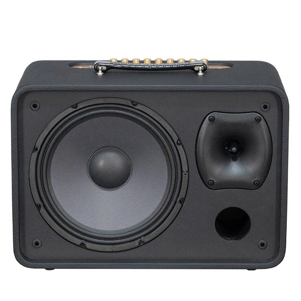 Loa Xách Tay Karaoke ACNOS CS250PRO Kèm 2 Micro Hàng Chính Hãng Bảo Hành 12 Tháng