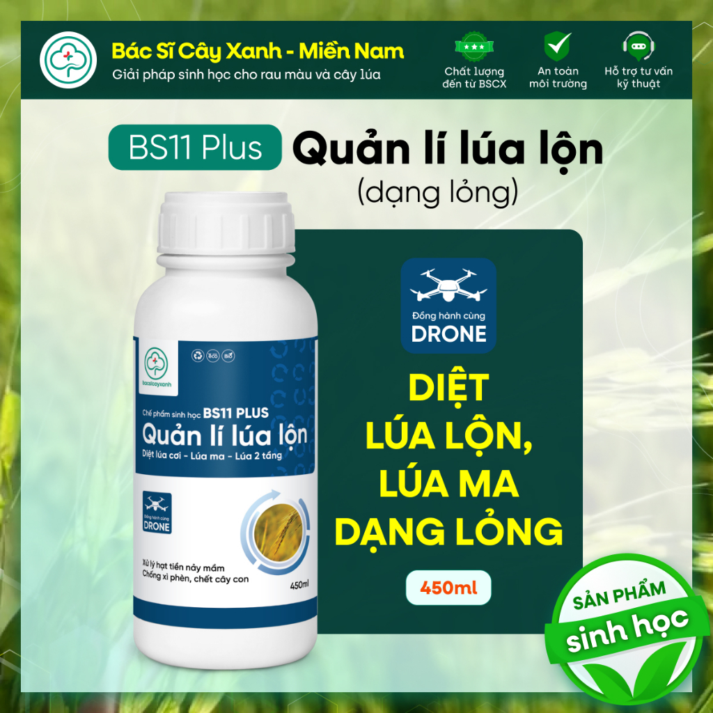BS11 Plus Quản Lí Lúa Lộn Dạng Lỏng - Diệt Lúa Cỏ Lúa Ma Không Ảnh Hưởng Lúa Sạ - Bác Sĩ Cây Xanh