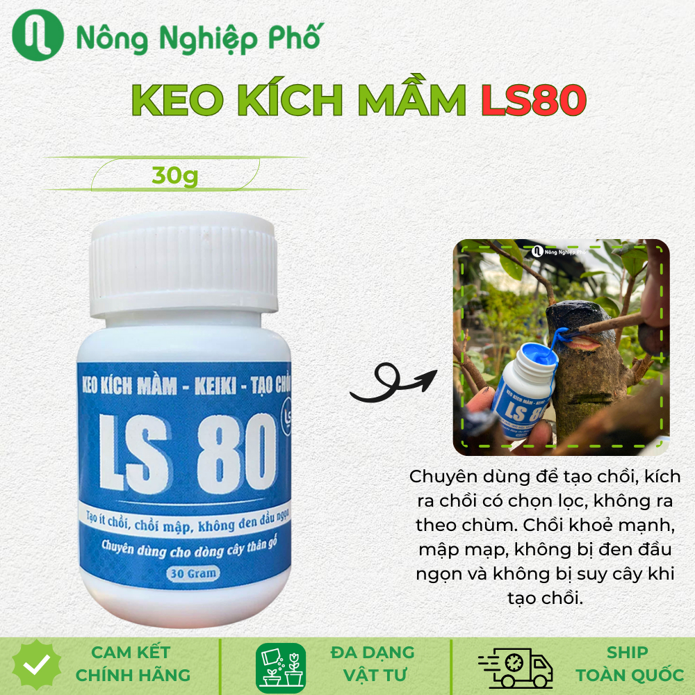 Keo tạo chồi kích mầm LS80 – Kích mầm, kích chồi cây một lá mầm, cây thân gỗ, mai vàng lên mần nhanh