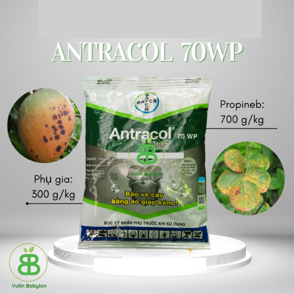 [100G] Thuốc Trừ Nấm ANTRACOL 70WP – Trị Thán Thư, Vàng Lá, Thối Rễ, Đốm Lá – Bảo Vệ Cây Trồng Hiệu 