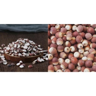 Hạt Khiếm Thực Thượng Hạng Nguyên Cám Nội Địa Trung (hạt nguyên và hạt chẻ đôi) không sấy lưu huỳnh 100g