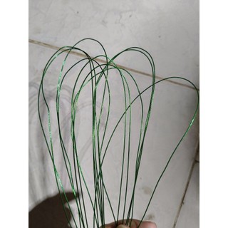 10 cây kẽm cành làm hoa