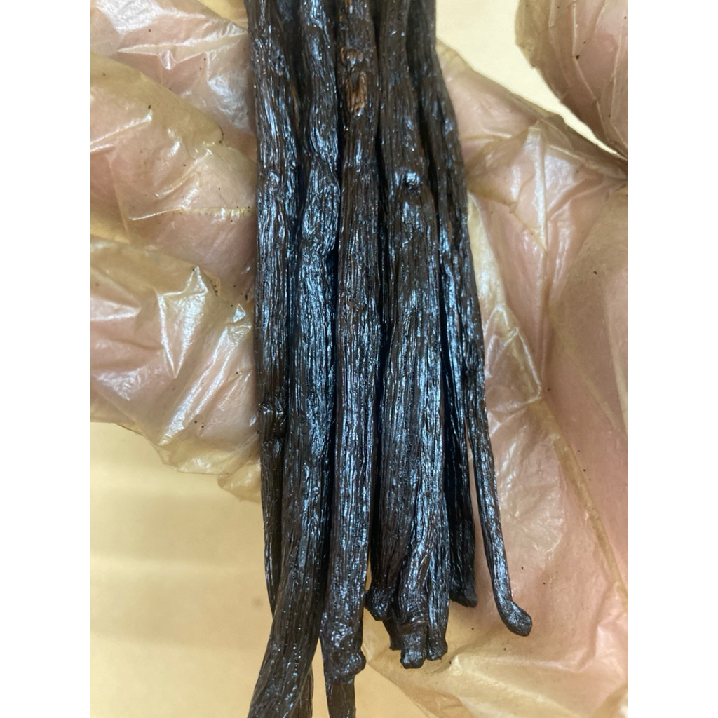 Quả vanilla bourbon Madagascar 14-15cm