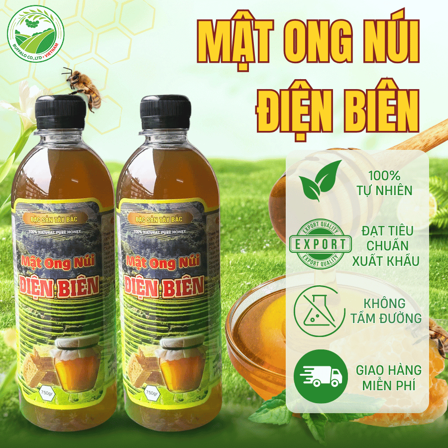 Mật Ong Điện Biên 1000ml Nguyên Chất 100% Tự Nhiên Đặc Sánh Từ Hoa Rừng, Mật Chín Honey House