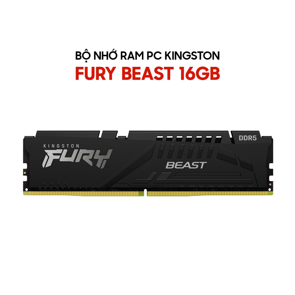 RAM DDR5 Kingston Fury Beast KF556C40BB-16 16GB 5600MHz CL40