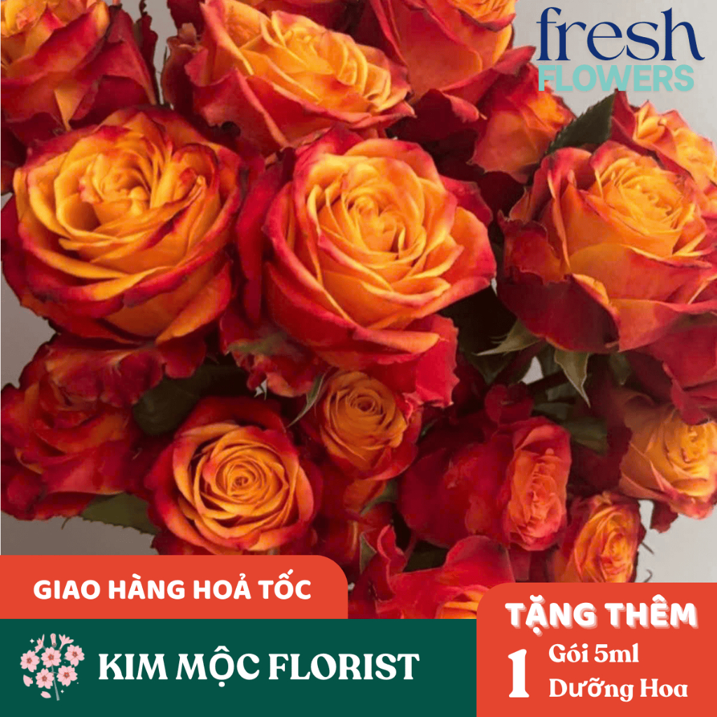 Hoa Hồng Cam Spirit Bó 50 Bông – Năng Lượng & Đam Mê