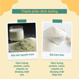 Bột sữa nguyên kem / Bột kem béo Hà Lan 500g
