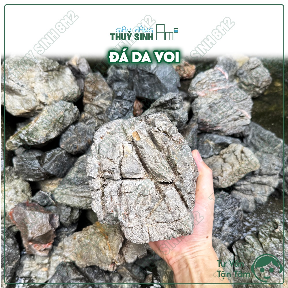 (Đã Rửa) Đá Da Voi | Đá Trang Trí Hồ Cá, Đá Set Up Layout Hồ Thuỷ Sinh | 8m2