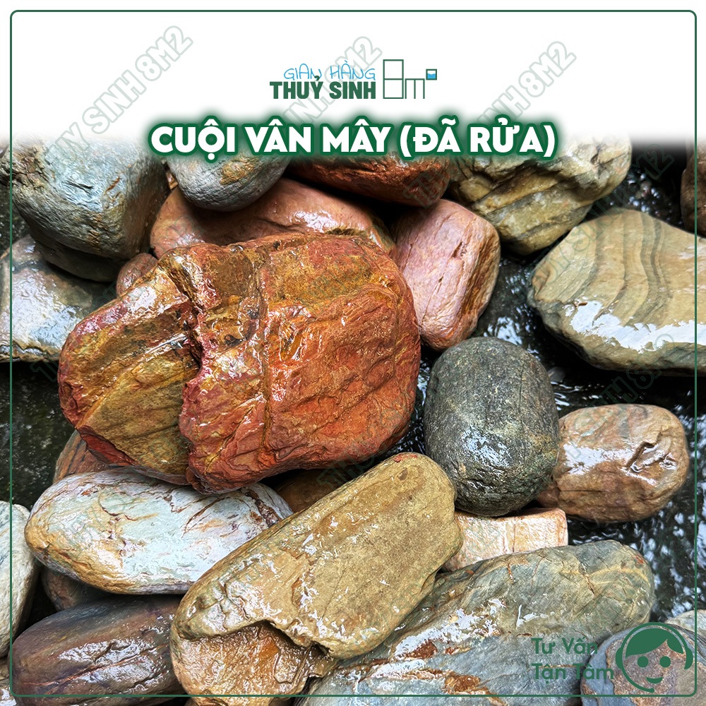 (Đã Rửa) Cuội Vân Mây | Đá Cuội Set Up Hồ Thuỷ Sinh, Hồ Suối, Biotop Cá Cảnh | 8m2
