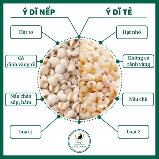 Hạt Ý Dĩ 500g | Loại 1 - Ý Dĩ Nếp, Hạt Bobo, Nấu Cháo, Nấu Chè, Hầm Gà, Pha Trà, Lợi Sữa Sau Sinh