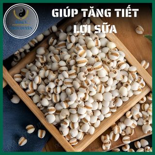 Hạt Ý Dĩ 500g | Loại 1 - Ý Dĩ Nếp, Hạt Bobo, Nấu Cháo, Nấu Chè, Hầm Gà, Pha Trà, Lợi Sữa Sau Sinh