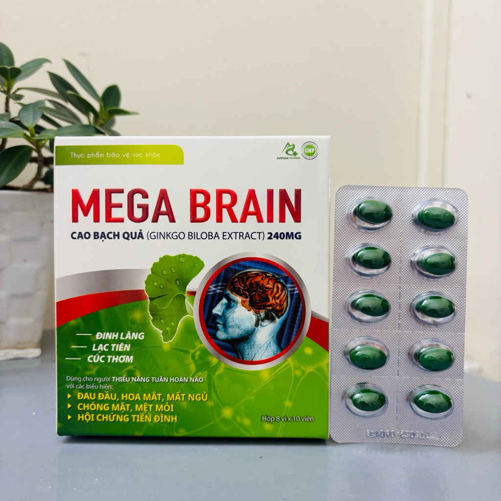 Bổ não Ginkgo Biloba hàm lượng cao 240mg - MEGA BRAIN 80 viên