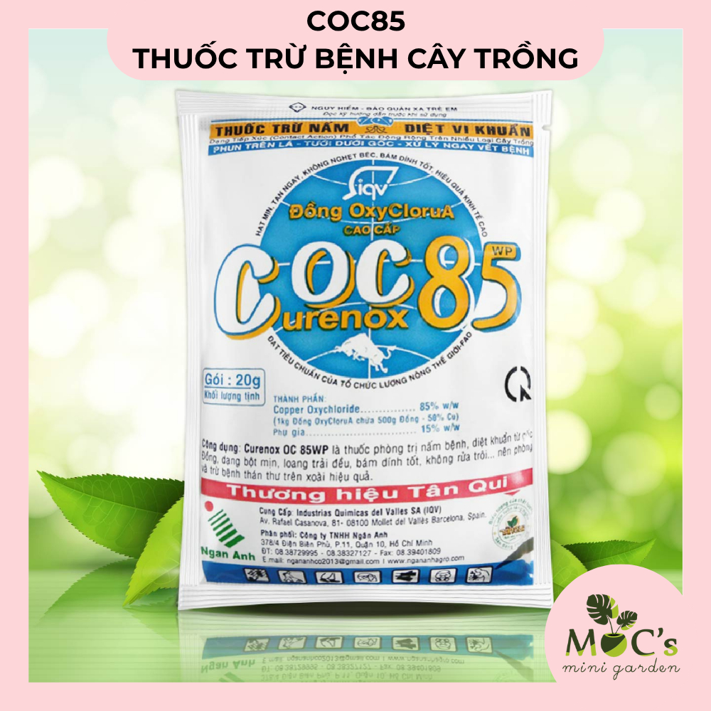 COC85 - Nhiều Kích Thước || Mocminigarden