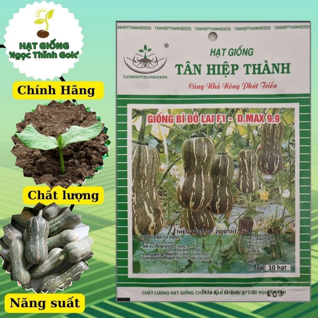 Hạt giống bí đỏ hạt đậu F1 DMAX 9.9 tân hiệp thành gói 10 hạt