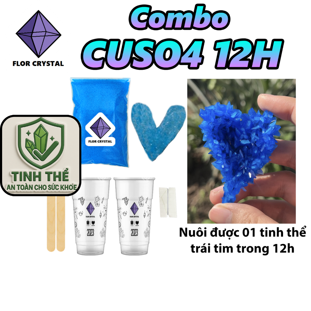 Bộ nuôi tinh thể CuSO4 trái tim nuôi trong 12H