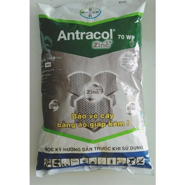 Antracol 70WP 1kg