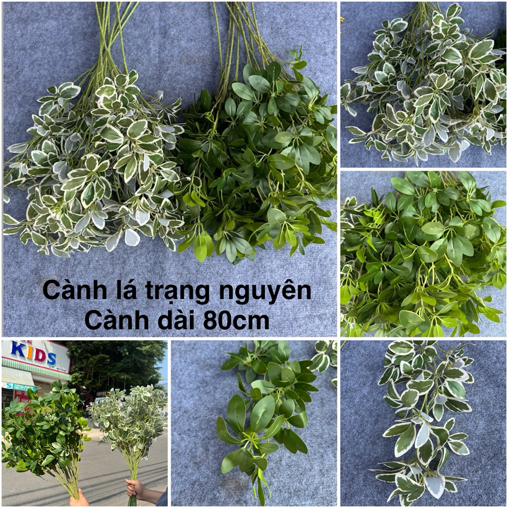 H728 Cành lá trạng nguyên giả, lá giả trang trí bình hoa, giỏ hoa, giỏ quà Tết, Lá trạng nguyên cao 
