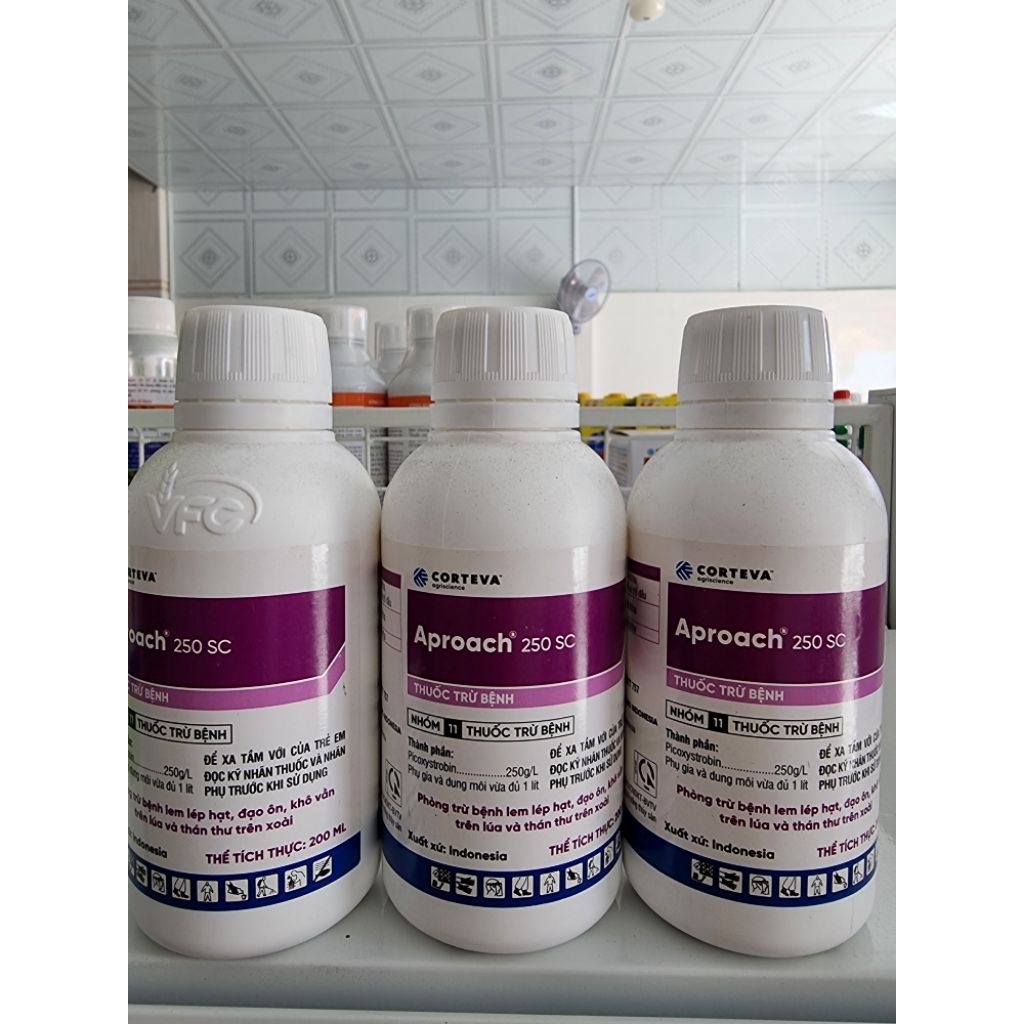 1 Chai - Aproach 250SC 200ml Corterva - đạo ôn, khô vằn, lem lép hạt,...
