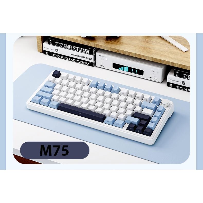 HCM Bàn phím cơ không dây Xinmeng M75 Pro - Led RGb - Có hot-swap - Mạch 5 pin - Màn LED - App Marco