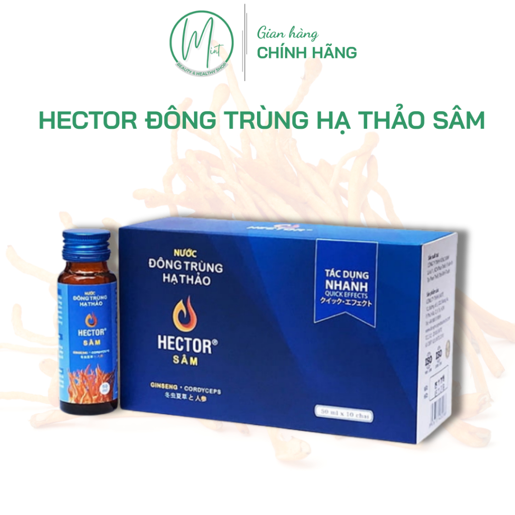 Hector đông trùng hạ thảo sâm