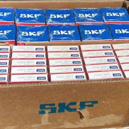 Bạc đạn SKF 6202