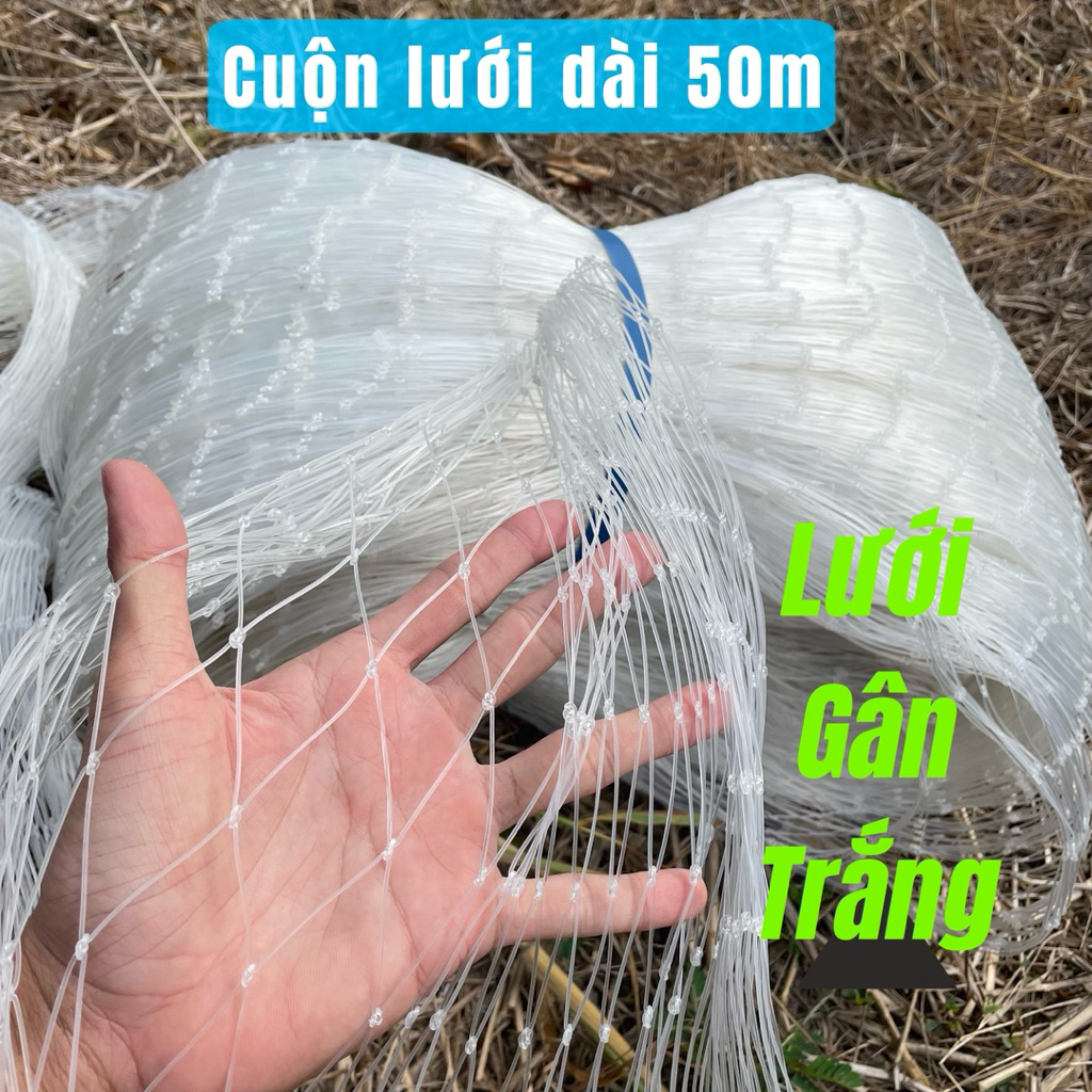 Cuộn lưới dài 50m-30m-20m-40m-... Lưới gân trắng, lưới rào gà, lưới rào ban công, lưới làm giàn... c