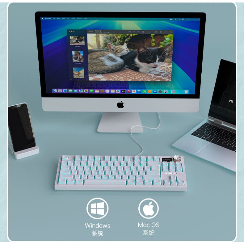 Bàn Phím Cơ Langtu LT84 | Full Hotswap 5 Pin, Lót Foam Giảm Âm | Màn hình Logo - Kết nối Type C rời | BigBuy360 - bigbuy360.vn