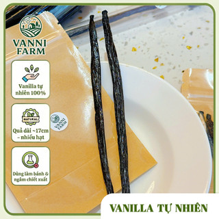 2 Trái Vanilla Gourmet - Indonesia dài 17cm