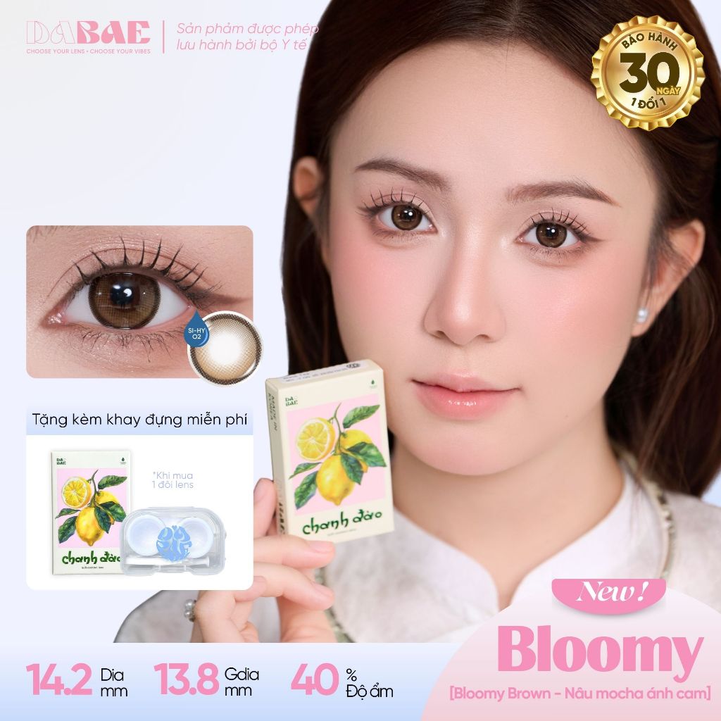 Kính áp tròng DABAE màu nâu choco có viền lens 3 tháng 14.2mm có độ 0-8 BLOOMY BROWN