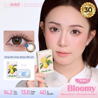 Kính áp tròng DABAE màu nâu choco có viền lens 3 tháng 14.2mm có độ 0-8 BLOOMY BROWN
