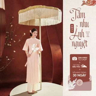 [Tâm nhu Ảnh nguyệt] TIINSTORE Áo dài Tết truyền thống thiết kế cổ tàu dáng ôm tay lỡ (Không kèm quần) 2512ACT443