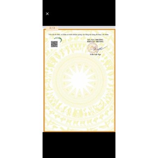 Thực phẩm bảo vệ sức khỏe Mayqueen Slim mẫu mới 2026