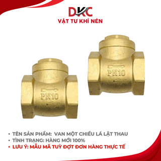 Van một chiều lá lật thau - van một chiều lá đồng