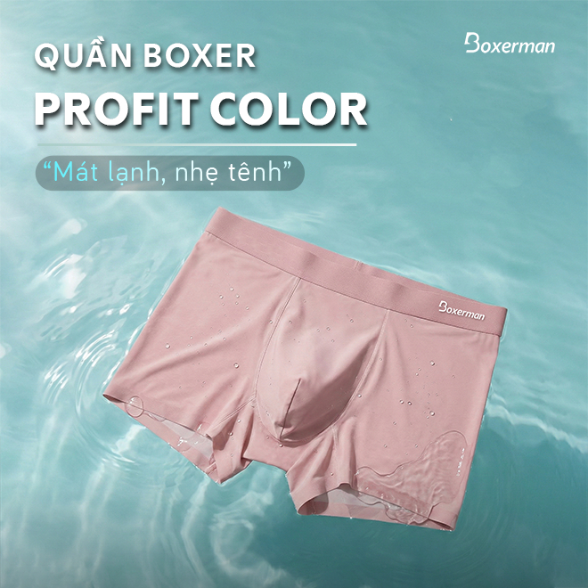 Combo 6 Quần boxer nam thun lạnh PROFIT COLOR, Quần lót nam thoáng khí cao cấp BOXERMAN