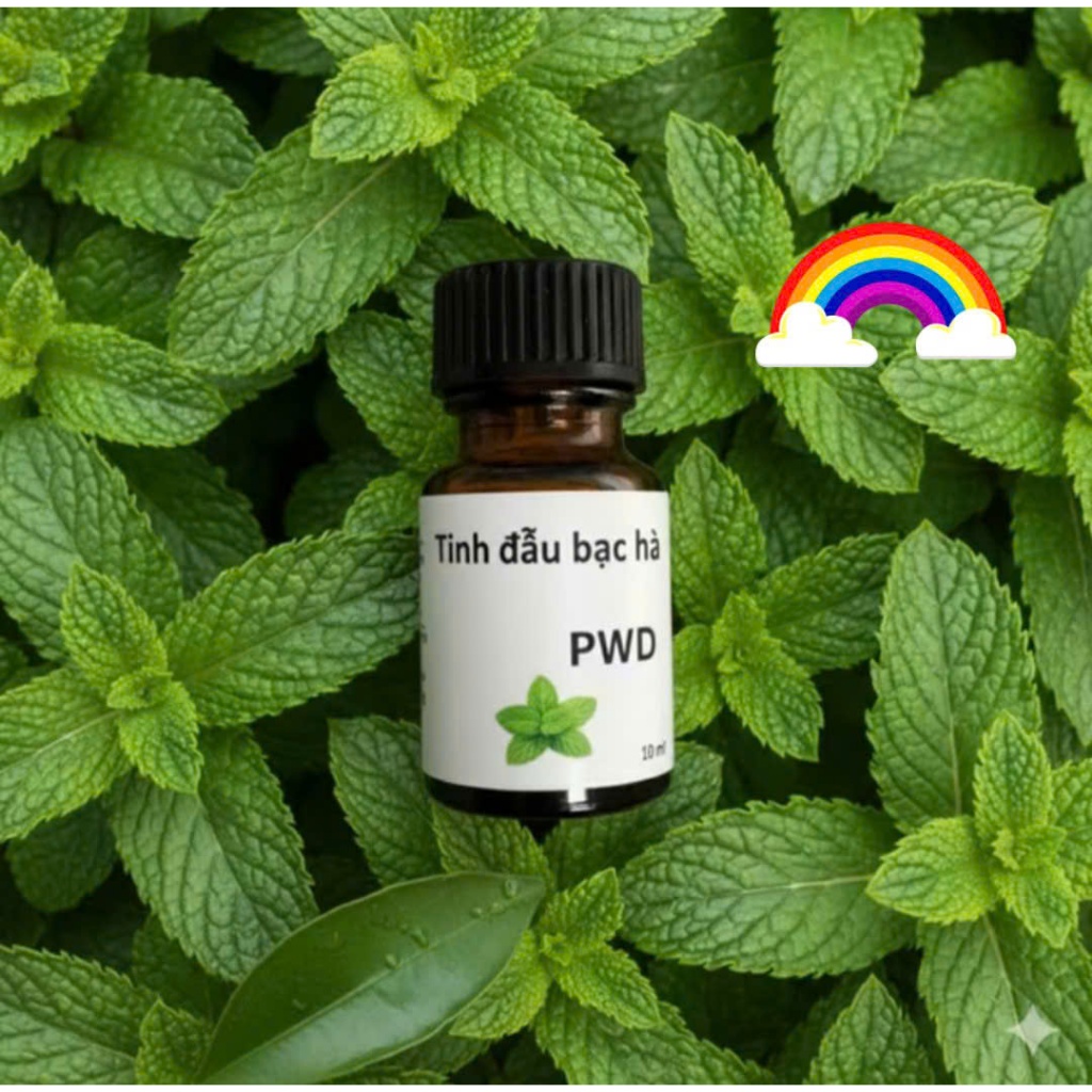 chai thủy tinh 10ml tinh dầu hương bạc hà thơm phòng